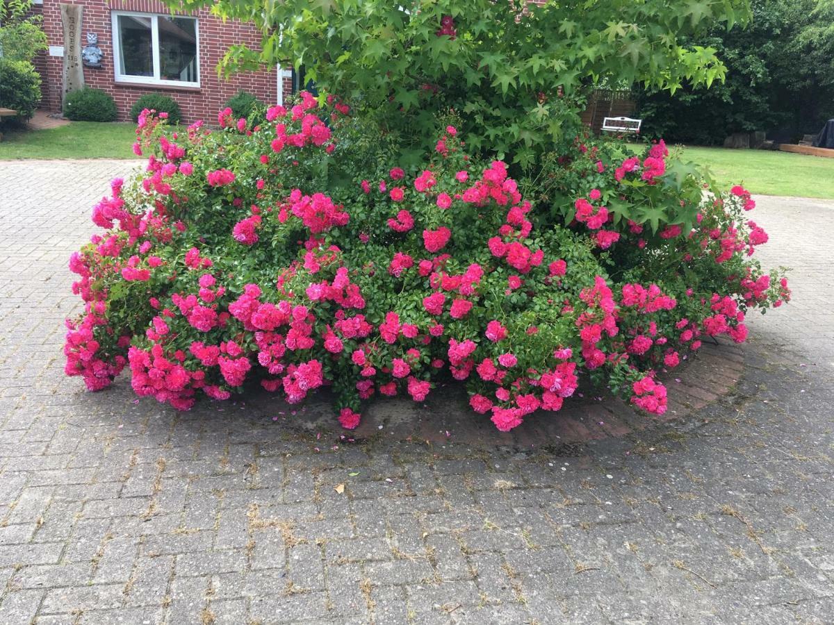 Hoeperhof Botersen ภายนอก รูปภาพ